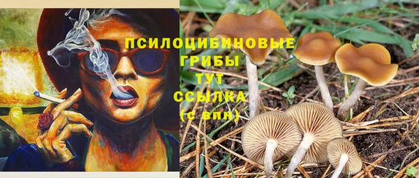Альфа ПВП Арсеньев