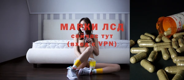 спиды Аркадак