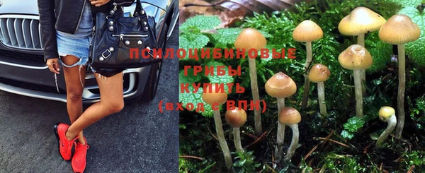 Альфа ПВП Армянск