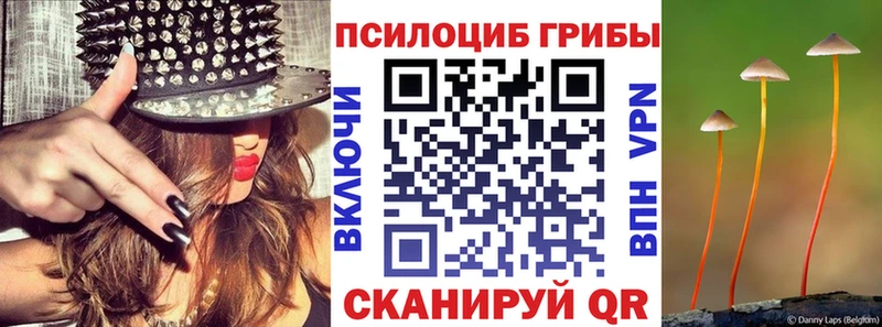 где продают   Афипский  Псилоцибиновые грибы прущие грибы 